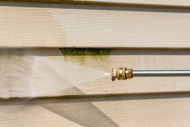 Best Roof Pressure Washing  in Somers, WI